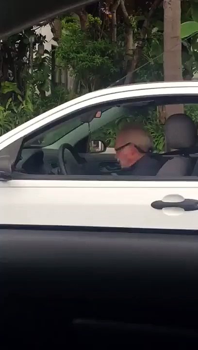 Papy Metal - Un vieux s'éclate sur du Metallica au volant de sa voiture