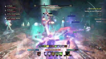 DonAleszandro The Elder Scrolls «-Durch die Krypta der Herzen mit dem Animal Guard-» (188)