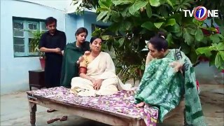Love In Gulshan e Bihar - Episode 67 -26th October 2017