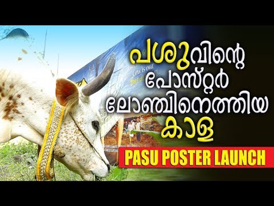 Malayalam Movie | Passu | poster launch | MD Sukumaran | Nandhu | New malayalam movie