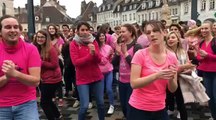 Besançon : Pour octobre rose, les étudiants en médecine et pharmacie se mobilisent contre le cancer du sein