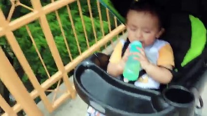 Babys First: GIRAFFE FEEDING!