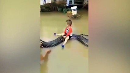 Little Hercules rides a python