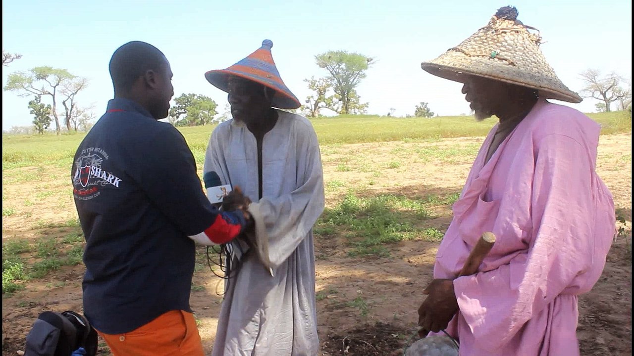 Prix de l’arachide : Les paysans de Keur Ablaye Diaw à Mbour sont déçus .