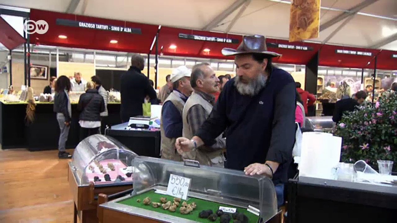 Der Herbst ist Trüffelsaison in Piemont | DW Deutsch
