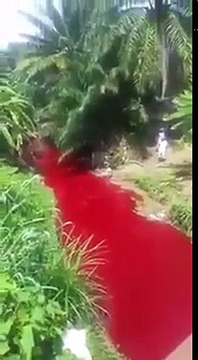 video-1509038851