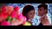 Kitna Haseen Chehra _ Dilwale Songs _ Ajay Devgan _ Raveena Tandon _ Kumar Sanu _ Love _ Filmigaane - HD 1080P
