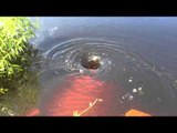 Friends Share Their Excitement at Discovery of a Water Vortex