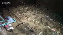 Archaeologists find four ancient royal 'limousines' in central China