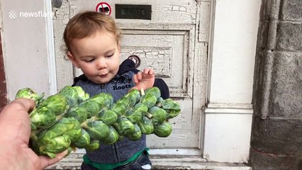 Adorable baby's mind is blown by strange looking vegetables