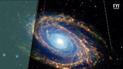 Planet Nine May Affect The Earth