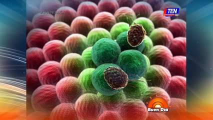 ¿El exceso de azúcar causa cáncer?