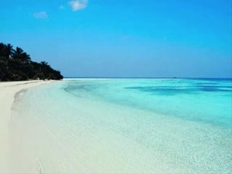 Boris "soiree disco"  "boris a la plage"