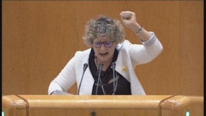 ERC hace "cómplices" del Gobierno al PSOE y Cs de lo que ocurra en Cataluña