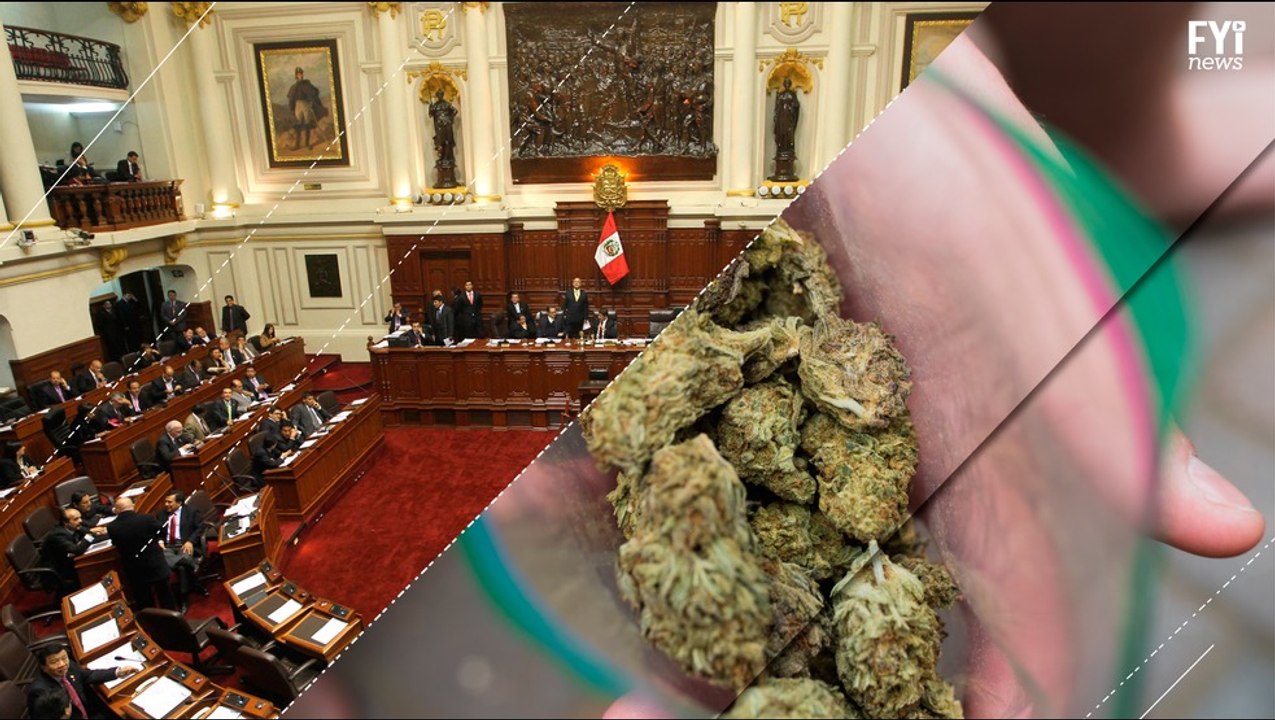 Latam Explores The World Of Medical Marijuana