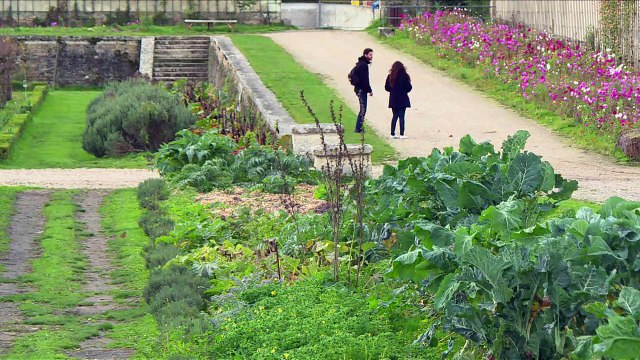 A Versailles, le Potager du Roi cherche des mécènes