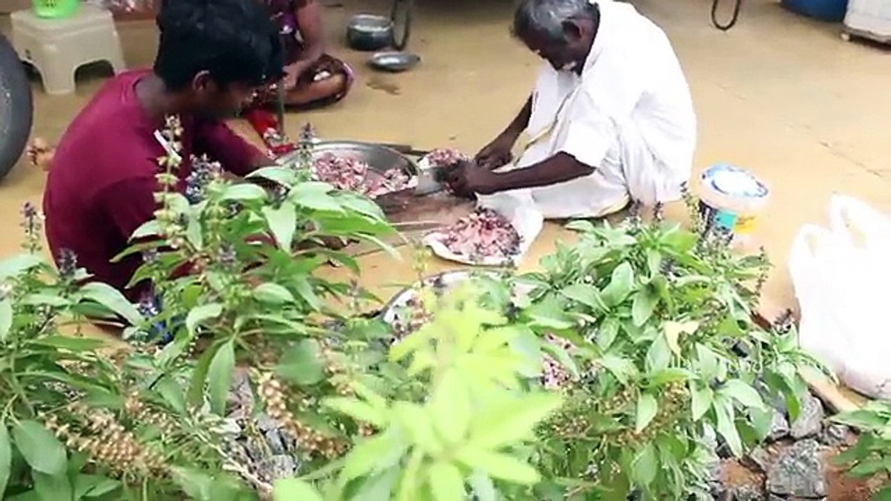 HİNTLİ DAYI 1000 ADET TAVUK PARÇALAYIP TAŞ TAŞ INDAN YEMEK YAPTI!!!