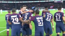 All Goals & highlights - Paris Saint Germain 3-0 Nice - 27.10.2017 ᴴᴰ