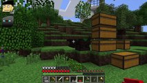 Minecraft BMP Let's Mod 38: Der Schissel