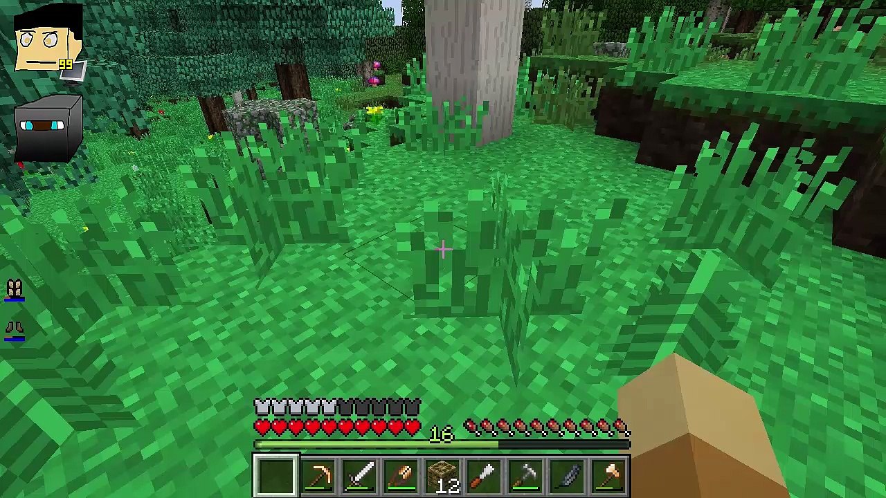 Minecraft BMP Let's Mod 40: LAAAG!