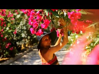 ReMix ~ Summer Breeze ( & video intermezzo )