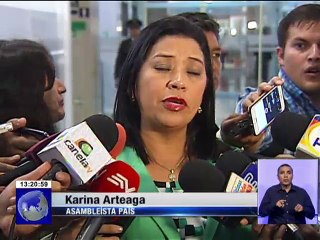 División entre Asambleístas de Alianza País