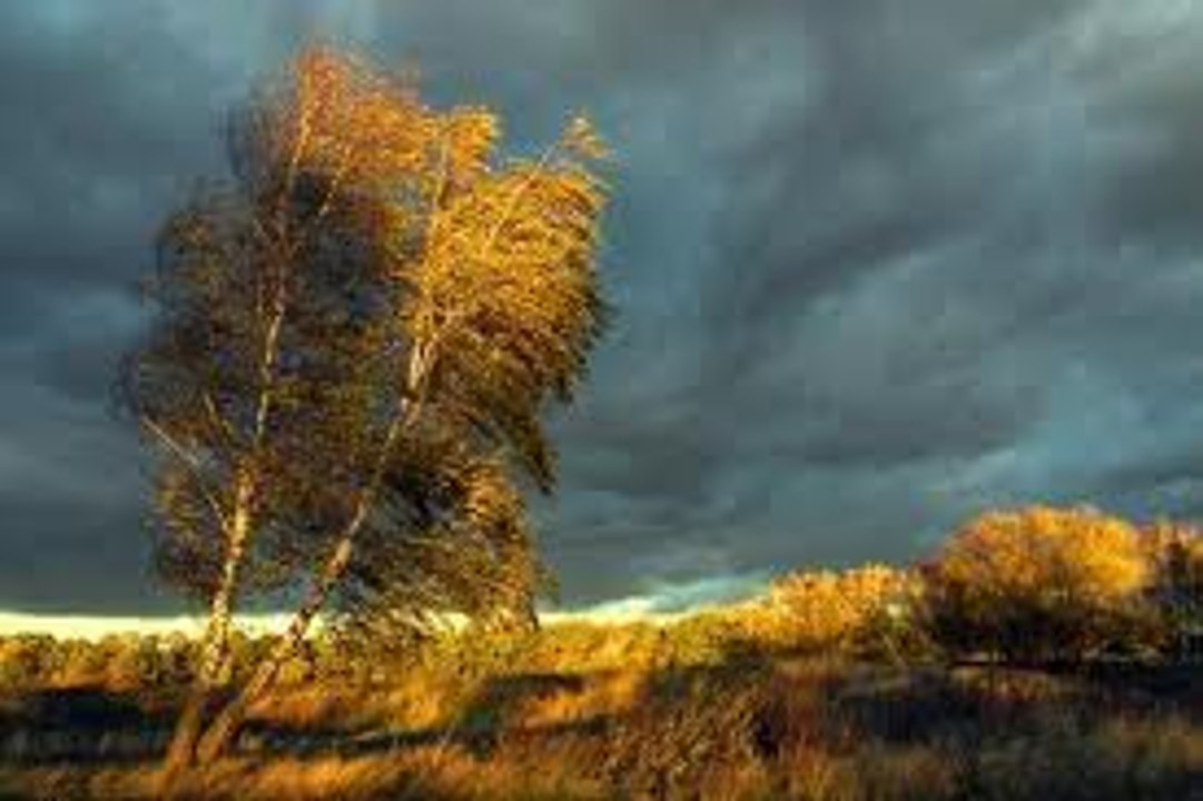 Ryd Jansen - Autumn Chilly Reggae