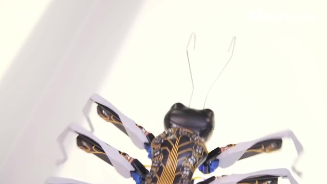 Robot ants are here to terrify and impress you