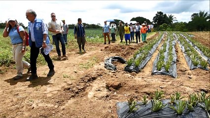 Las FARC buscan unión para sobrevivir tras guerra en Colombia