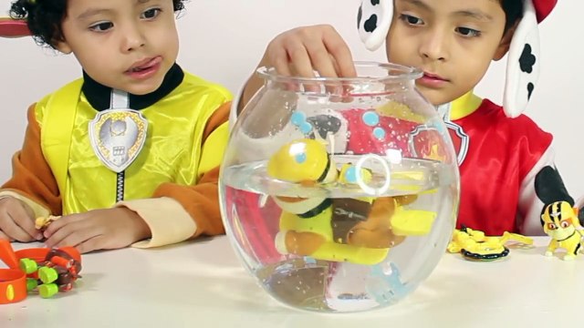 NEW Paw Patrol Play Doh Surprise Eggs Toys for Kids! Chase Marshall Rubble Zuma Sky Kids Costume Fun-spPZMPgrCw0