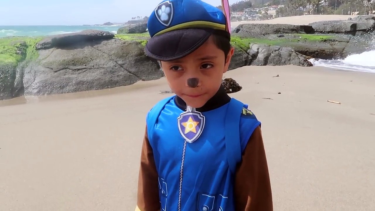 Paw Patrol Chase Nerf Gun Shark Toys T-rex vs catboy in real life IRL Disney nick jr PJ mask kids-R_W6QGHmfhs