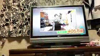 生き物にサンキュー！マホト出演シーンどうぞ