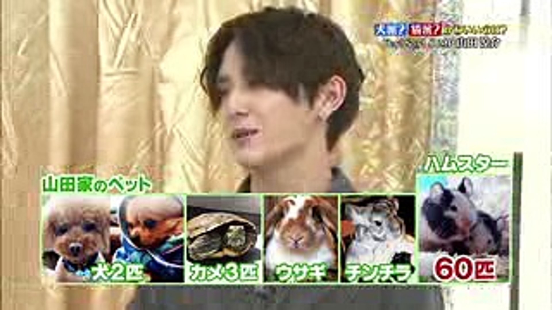 志村どうぶつ園 山田涼介 Video Dailymotion