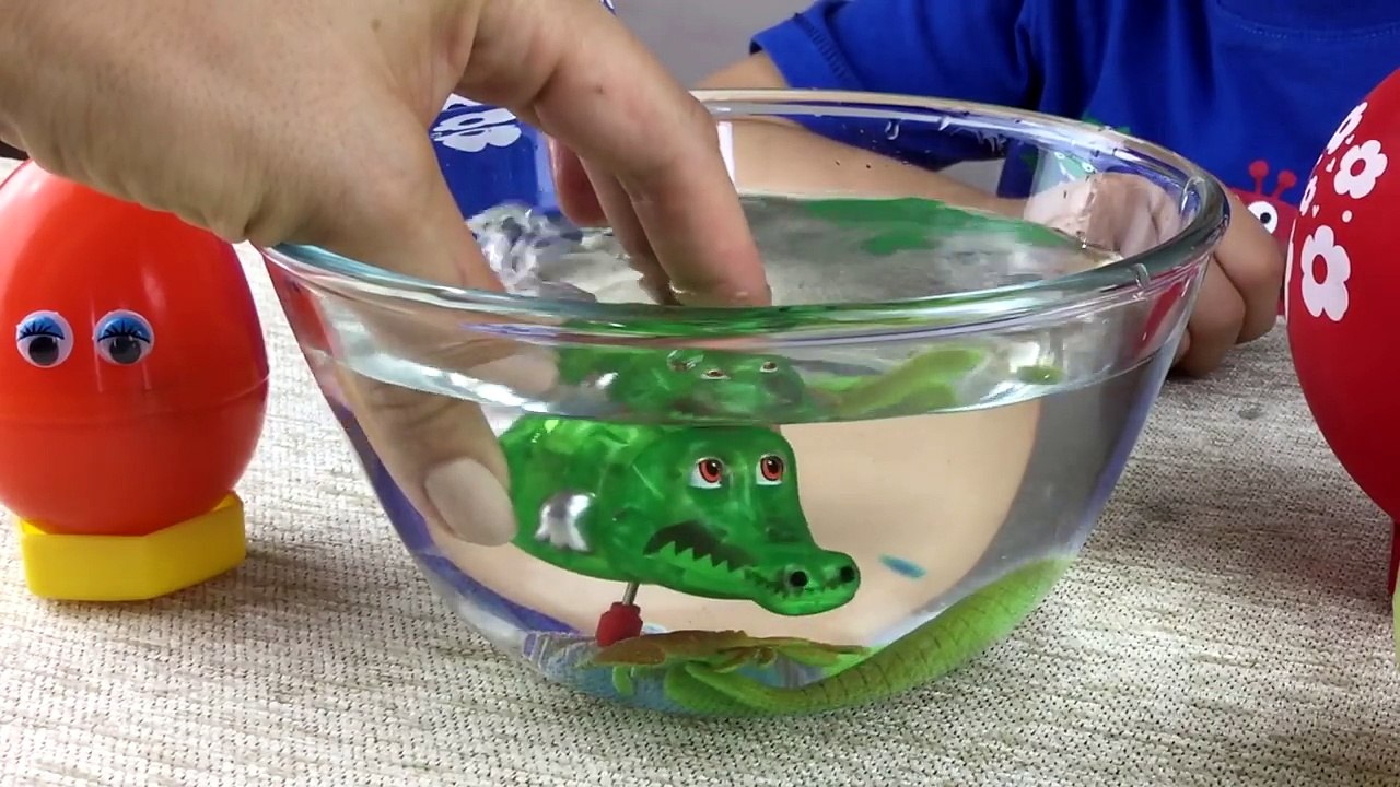 SURPRISE EGGS. VERY INTERESTING Toys! Video for kids-0lwDUp8y9xU