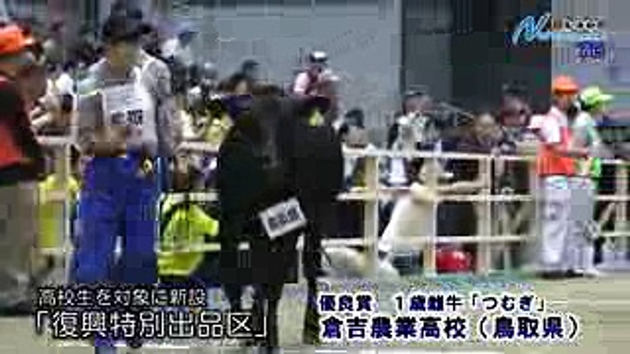 和牛能力共進会2017　団結で躍進チーム鳥取　日本海新聞