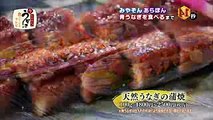 みやぞんが幻の青うなぎを食す　岡山県とっとんめ