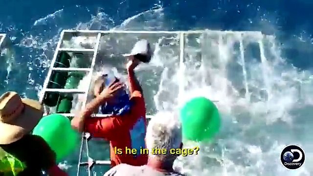 These Shark Cage-Divers Never Saw This Coming! Get A Sneak Peek At Shark Week 2017!