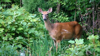 7 Dumbest Things You Can Buy Online-tW81rfMg5XQ