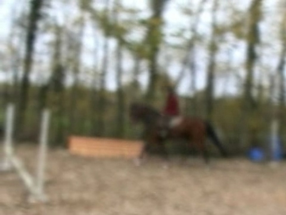 Ombre1