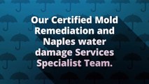iMold US Water Damage & Mold Remediation in Naples, FL
