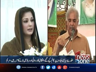 Maryam says family wants her to run party matters