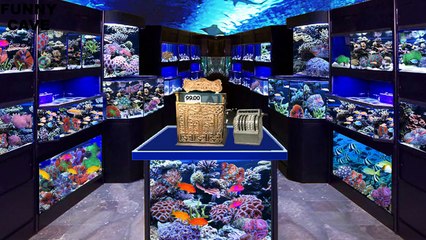 9 Dumbest Laws In The World-3qaY5-pyCd4