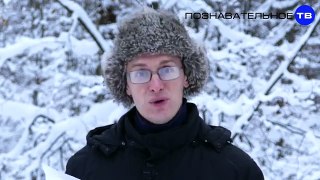 Почему арестовали министра Улюкаева? (Познавательное ТВ, Артём Войтенков)