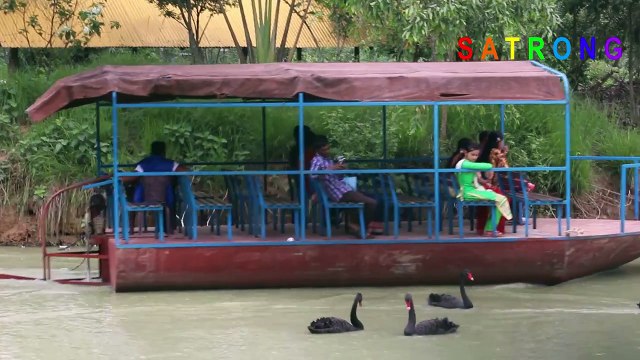 Fancy Duck Garden _ Bangabandhu Safari Park, Gazipur, Bangladesh _ Safari Park Fancy Duck Garden-hI8i7gw1Gbs
