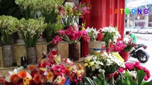 Katabon Flower Market _ Buy all Kinds of Flower _ Flower Market in Katabon, Dhaka-H7x9djftTSw