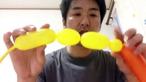 バルーンアートの作り方　ちょうちょ　蝶　How to make butterfly of the balloon art