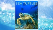 Download PDF Sea Turtles: Amazing Pictures & Fun Facts on Animals in Nature (Our Amazing World Series) (Volume 4) FREE