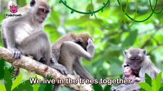 Cheeky Monkey _ Monkey _ Animal Songs _ Pinkfong Songs for Children-tE4F84cvxts