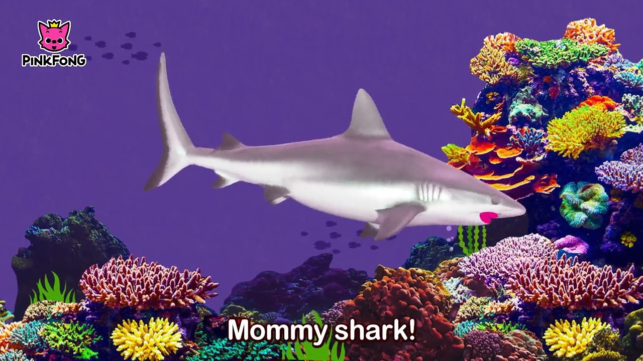 I'm a Real Baby Shark ! _ Animal Songs _ PINKFONG Songs for Children-6v8DKYckkng