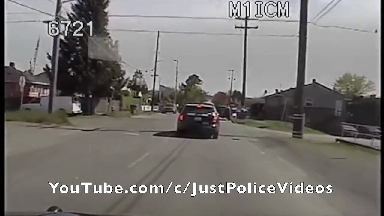 Police K9 Takedown
